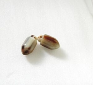 【開運祈願】
開運グッズ、水牛アクセサリーパーツ。ドングリ(七転び八起き)・15×30mm。金運アップ赤天目(天然色)。2個(セット)の価格。直径15m/m・芯持ち・長さ約30m/m。二つの画像は同一のものです。日本製。ゆうパケット便。|価格11,440円・送料のご案内