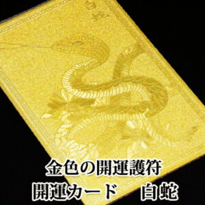 【幸運↑】【白蛇】ゴールド 開運カード 開運グッズ 金運カード 金運アップ 金運 財布 開運祈願 金運財布 長財布 財運 金運アップ祈願 金運UP祈願 風水 グッズ メンズ/レディース お金が貯まる メンズ長財布 2026|価格1,000円・送料のご案内