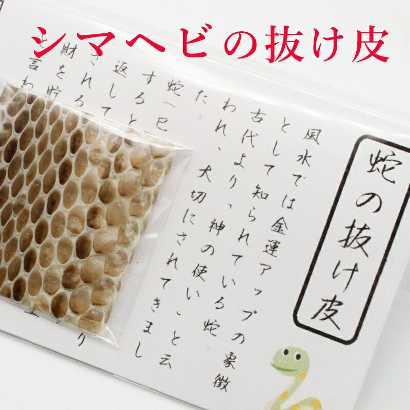 【開運グッズ】
シマヘビの抜け皮 蛇の抜け殻 御守り開運グッズ 金運アップ 金運 財布 開運祈願 金運財布 長財布 財運 金運アップ祈願 金運UP祈願 風水 グッズ メンズ レディース お金が貯まる しろへび へび シロヘビ 縁起物 2026|価格1,388円・送料のご案内